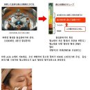 리젠 이미지