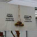 오공주농장 이미지