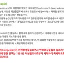 금충초 Daum카페