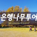 나무투어