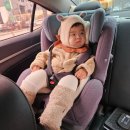 (주)폴리큐브 | 12개월아기 낮잠 밤잠 유아식 스케쥴 발달 돌아기장난감 우유 분유 첫 걸음마