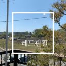 레드핀휠