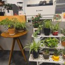 역세권여왕공인중개사사무소 이미지