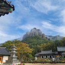 폭포식당 | 단풍 구경 청송 주왕산 단풍 트래킹 등산코스 용추폭포 주왕산 주변 삼보 식당 후기