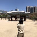 독슐랭 | 별 일이 없어서 몰아쓰는 세 달치 일기