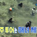 순동목장 이미지