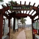 장남교 이미지