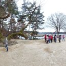 선비뜨락 이미지