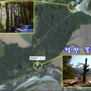 몰운대 이미지