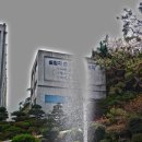 서영대학교 이미지