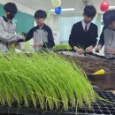 망포중학교 이미지