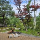 용담리70번지 이미지