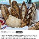 [추천]속 편한 사워도우 뺑드에코 빵 택배 후기