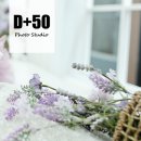스튜디오사카린
