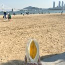 (26.5월-광안리 빵투어) 앙시앙 베이커리 웨이팅 후기/오복미역 본점/히스피 커피/서희와제과