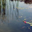 호수풍경속으로 이미지