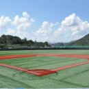 주경기장 잔디구장 이미지