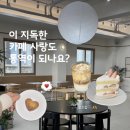 커피지애 | ♥️제주노형신상카페 오희커피｜제주 쌀크림라떼 맛집! 딸기케이크까지 맛있는 제주디저트 카페