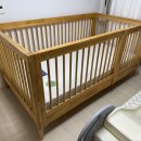 올리브데이 이미지