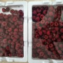 과일맛있고싼집 - 광산구 풍영로145번길 106 | 과일맛있고싼집