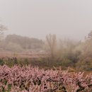 감곡농장 이미지