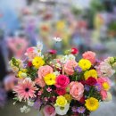 마리플라워 | 구운동꽃집 마리플라워 방문한 후기