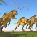 (주)티렉스 이미지