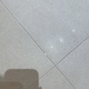 라파 크린 이미지