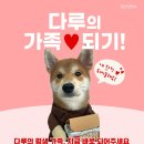 다루/여아/3개월 이미지