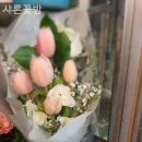 샤론꽃방 네이버블로그