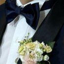 라노비아앤 이미지