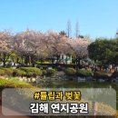 맥도날드(연대점) 개방화장실 | 김해 연지공원 튤립 벚꽃 개화 볼 수 있는 곳 데이트 후기