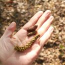 풍암한방병원 이미지