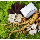 편안몸한의원 이미지