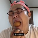 띵가 이미지