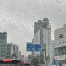 2022. 8(1) / 서울과 경상도 그 사이에 대전..