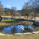 위천수변테마파크 이미지