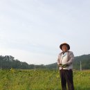 교동향교 이미지