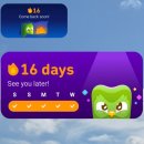 왕초보 일본어 | 일본어 왕초보 노베의 듀오링고 일본어 무료버전 후기