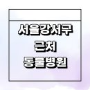 파스텔LC동물병원 | 서울 강서구 근처 동물병원 추천 정보 잘하는곳 고양이 강아지 중성화 수술 24시간 가격 후기 공휴일 주말