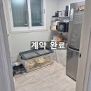 중앙동244 이미지