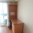서림동-22 Daum카페