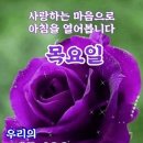 고운미소 이미지