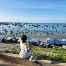 이옹구농장 | [베트남/무이네] 무이네 지프투어에서 인생샷 얻어가세요! 업체선정 팁 (feat. 제 블로그 보여주면 망고...