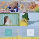 마틴 이미지