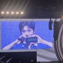 복숭아 제철이다 | 재현 MONO 막콘 후기