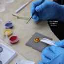 칠보, 오너먼트 이미지