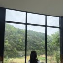 감성 읽기와 그림전 | 홍천여행 비오는날 숲캉스 <나무밭> 내돈내산 후기 /써라운드슬로우/어스17 카페/생곡막국수/장호닭갈비