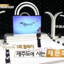 아당 이미지
