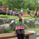 고창북중학교 이미지